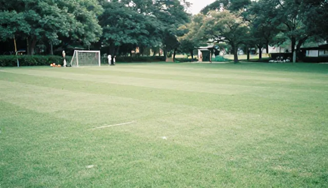 性能优化在技术推广中的关键作用与实践路径