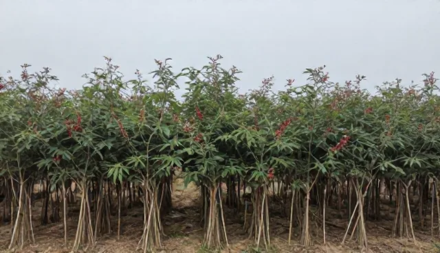 基地管理中渠道供货的关键选型关注点