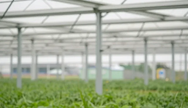 服务器稳定性保障：网络优化与冗余设计的取舍