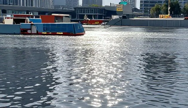 直播运营中如何选择合适的流量来源