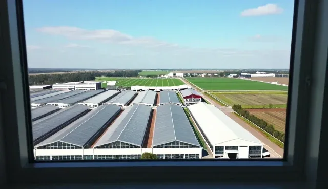 GEO搜索优化在流量分析中的实际应用与性能考量