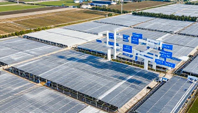 市场调研如何助力企业效率提升与决策优化