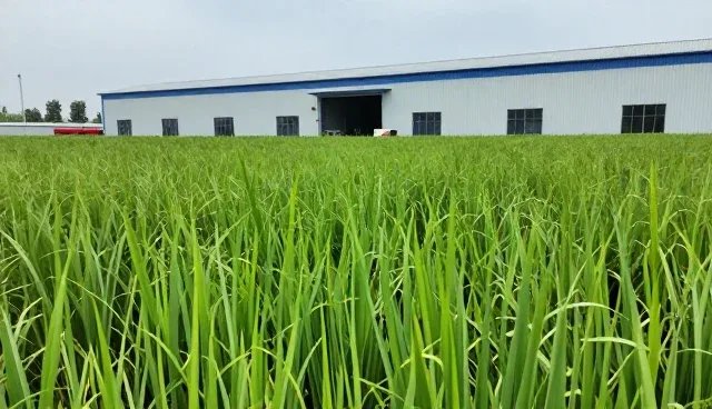 农业生产智能化转型中的适配方案实践