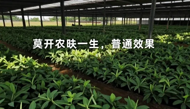 视频剪辑在内容分发中的实际应用场景解析