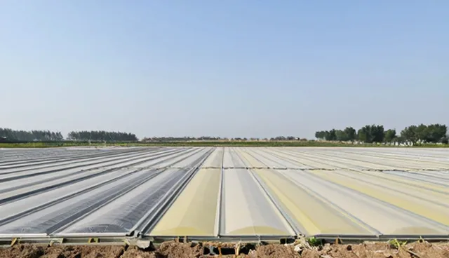 装修施工中材料性能与适用条件的精准匹配策略