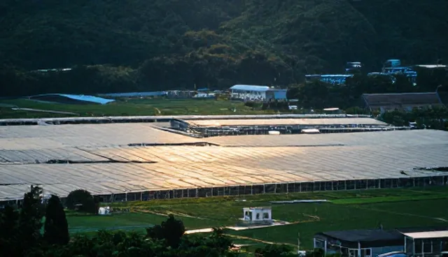 技术咨询如何助力系统性能优化与适用场景拓展