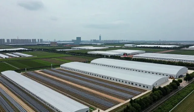 智能运维平台中培训体系的常见问题与应对策略