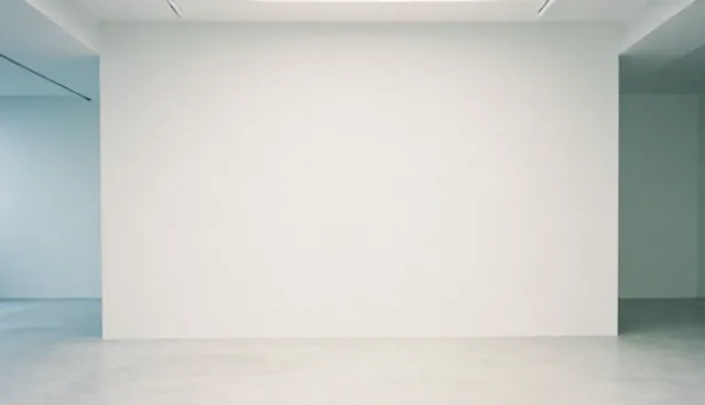 软件服务使用中的常见问题与维护策略