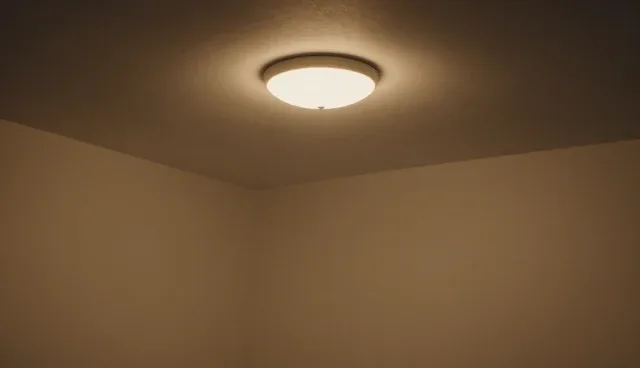 季度消杀服务：后勤托管套餐的使用与维护建议