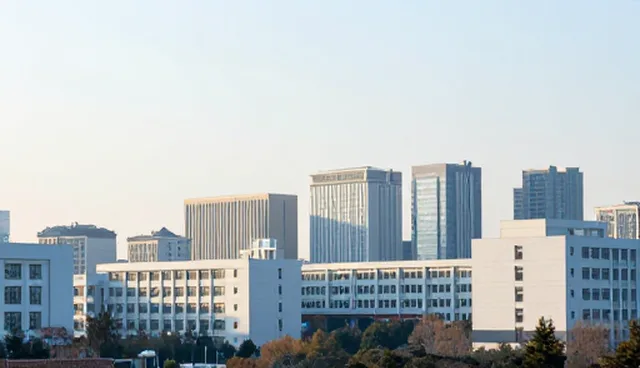电商运营中软件开发全流程跟进的关键性分析