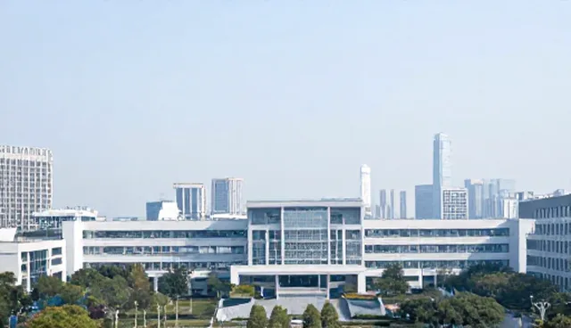 技术适配中项目管理的常见问题及应对策略