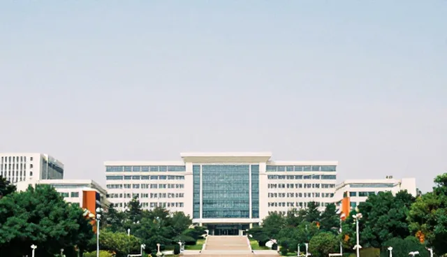 专门做网站的公司如何优化流程提升效率