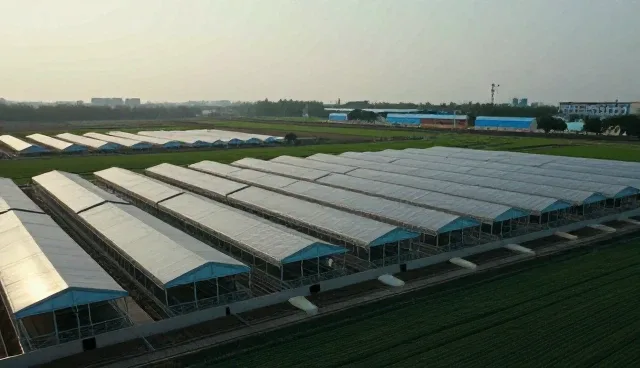 提升种植效率：农机使用中的常见问题及应对策略