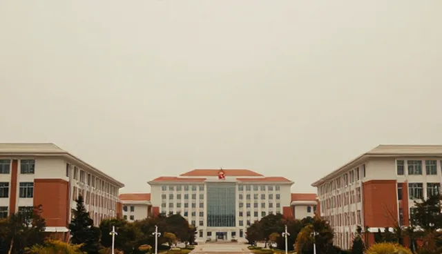 企业管理系统如何通过技术咨询提升性能与适用性