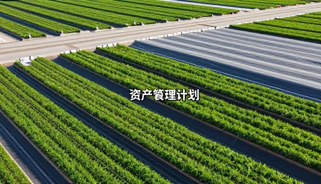 价值投资中风险管控的实践与应用，提升稳健经营能力
