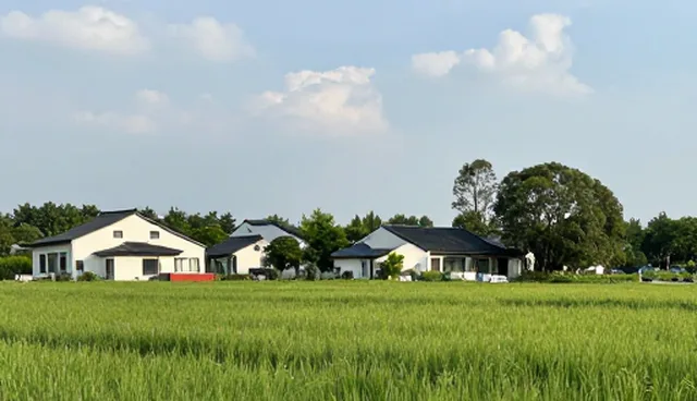 安装调试并非技术咨询的全部价值