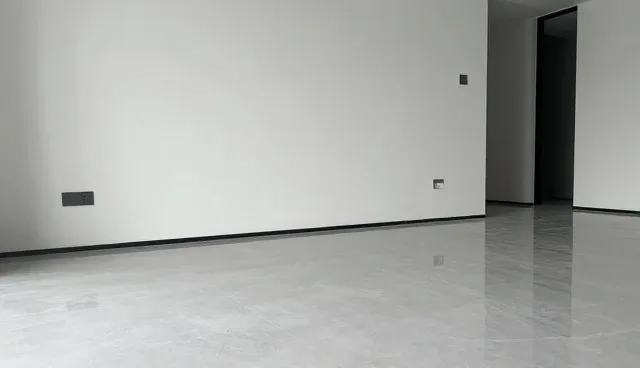 发票管理服务适用条件与选择依据说明