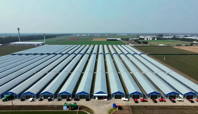 定制化方案在实际场景中的效果验证分析