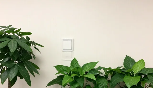 如何高效使用包车服务？常见问题解答