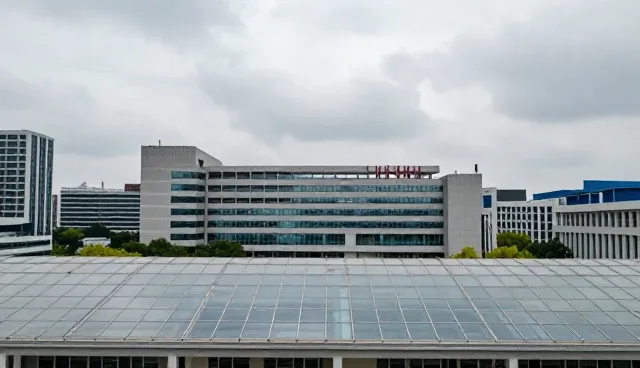企业管理咨询中的性能提升误区解析
