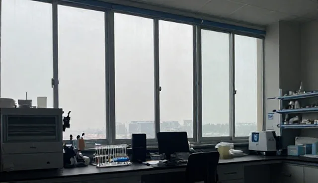 社交媒体内容策划服务选型关注点及处理方向