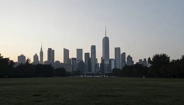 技术转让中的行业影响分析与维护建议