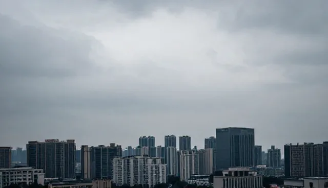 考试辅导服务中设备兼容性如何影响学习效率？