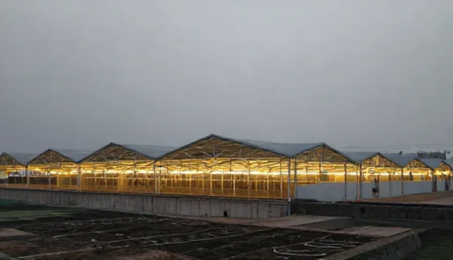 运维服务选型中的应用场景分析与核心关注点