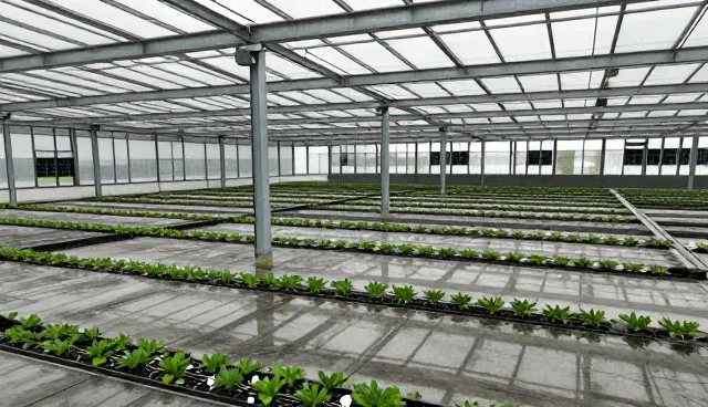 短视频定制在多场景中的应用与实践