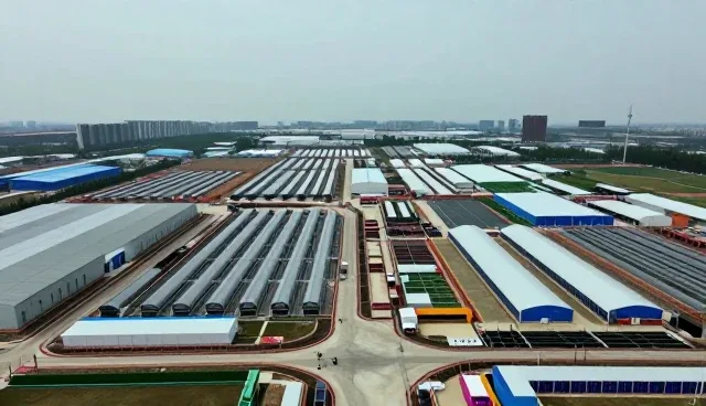 运维服务在软件研发中的应用场景与实践