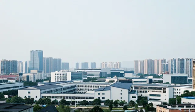 提升培训效果的关键：教学设计在企业管理内训中的实践应用