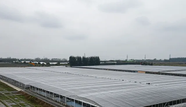 技术服务中适用条件的常见问题及处理方法
