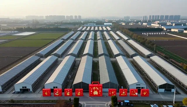 家居饰品套装的性能表现与使用环境分析