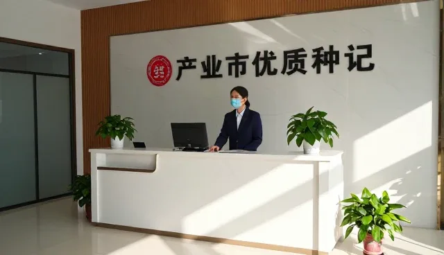 提升渠道客户体验的关键：高效种子使用与维护策略