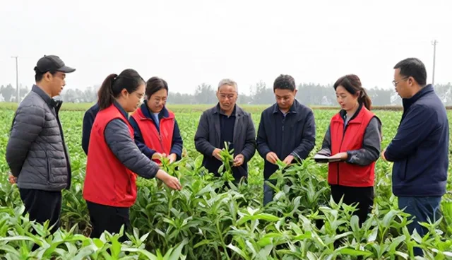 系统稳定性保障中的服务响应实践与常见问题应对