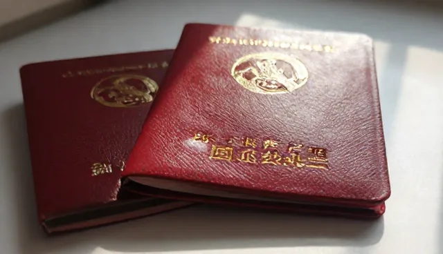 宠物医疗咨询软件的日常使用与维护要点