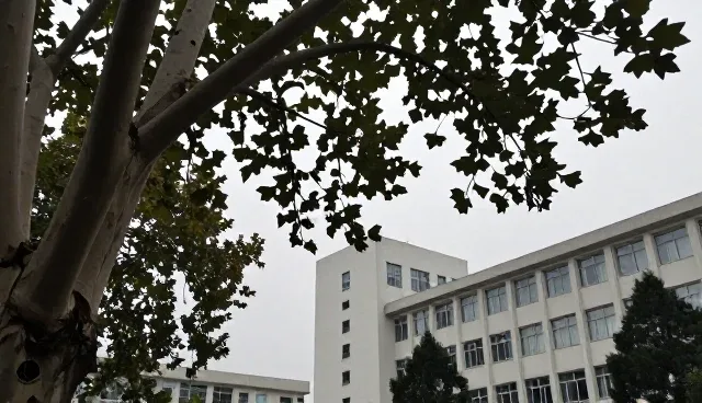 种苗供应行业保鲜技术应用与发展趋势分析