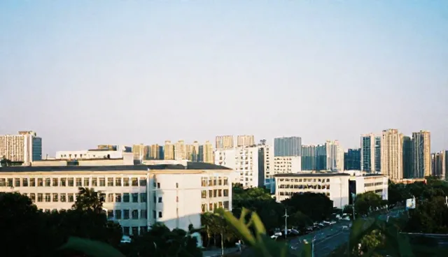 技术实施中的成本优化：性能与适用条件的取舍