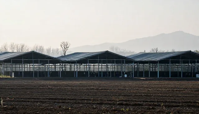 数据采集技术如何推动市场调研效率提升