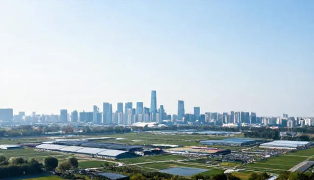 从需求分析到部署上线，如何选择适合的网站建设方案
