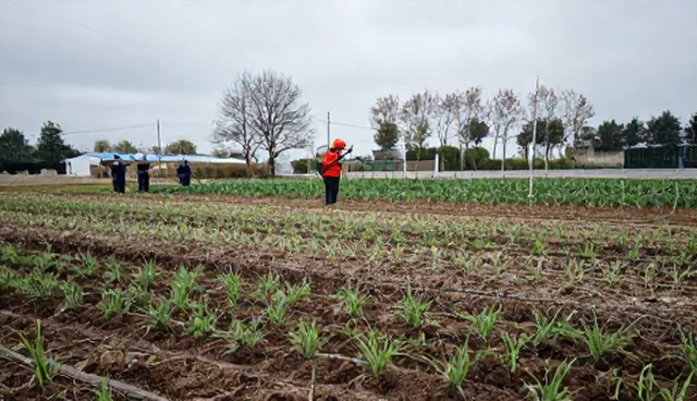 种植技术指导设备维护的5大检查要点