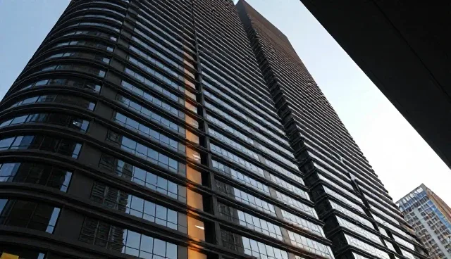 如何有效利用品牌诊断服务优化业务发展趋势