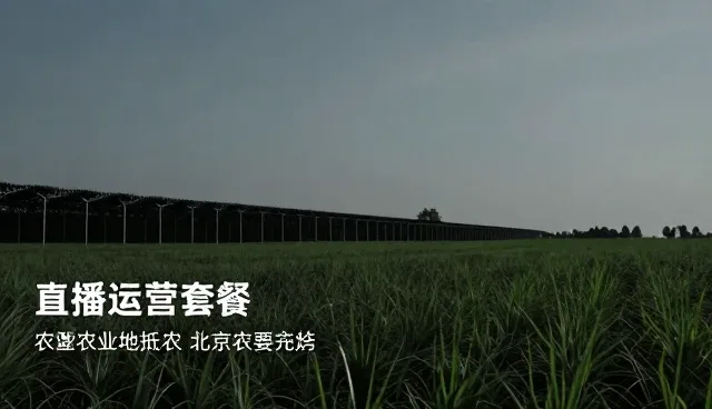 视频策划在直播运营中的实际应用与性能分析