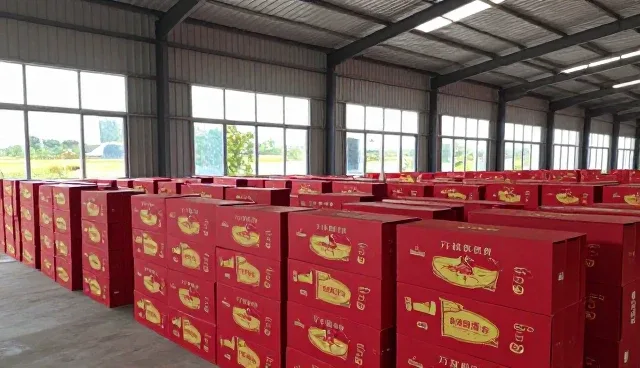 仓储配送在不同场景下的性能表现与适用条件分析