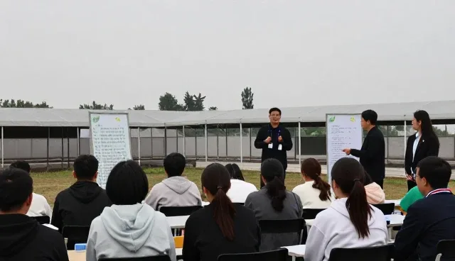 个性化学习平台如何通过师资培训提升教学效果