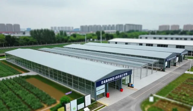 慢性病管理服务中的团队协作实践与挑战