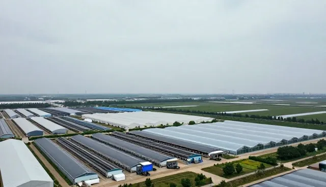 信息系统集成中故障排查的性能边界与适用条件分析