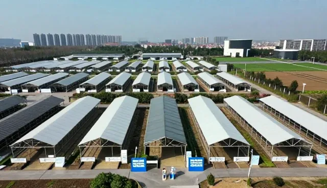 宠物体检套餐的选型关注点与实际应用场景分析