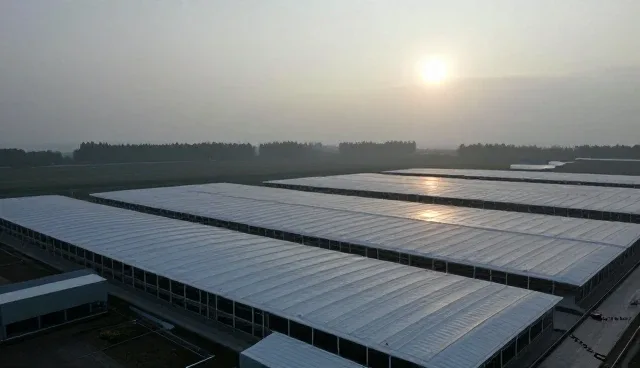 农产品加工中基地合作的实际环节与处理建议