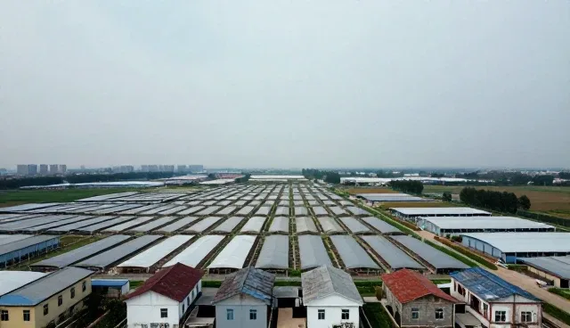 提升运营效率的关键：多行业合作选型关注点分析
